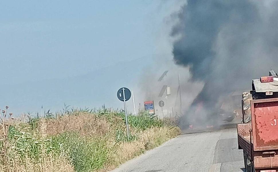 auto fiamme doria sibari