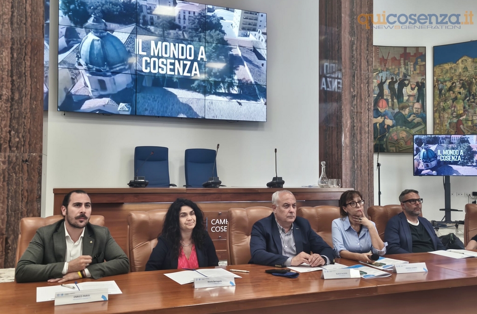 camera commercio cosenza