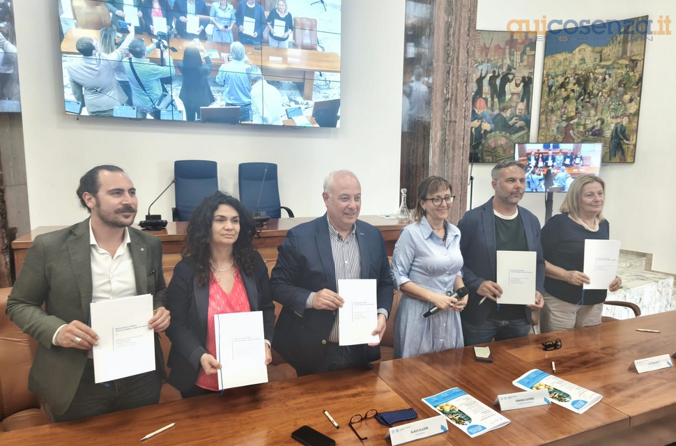 camera commercio cosenza