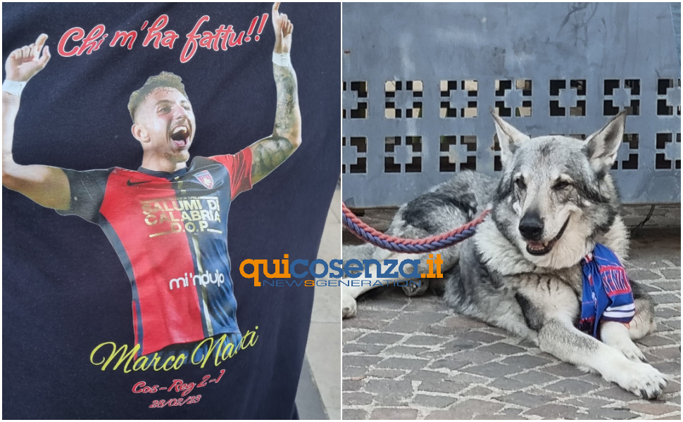 foto-cosenza-calcio-3