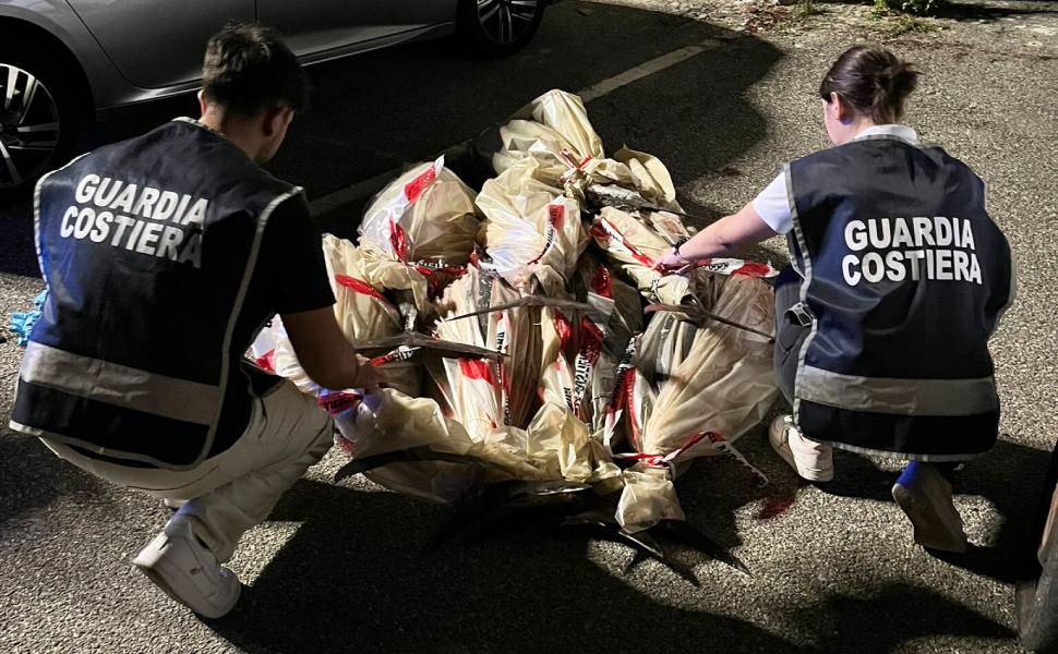 tonno rosso guardia costiera vibo