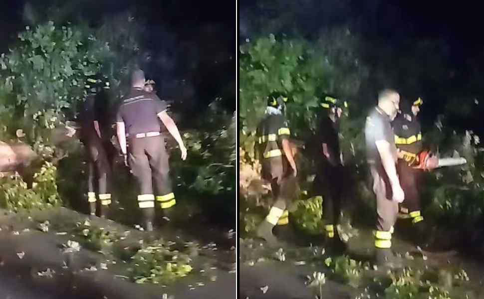 albero caduto 13 canali