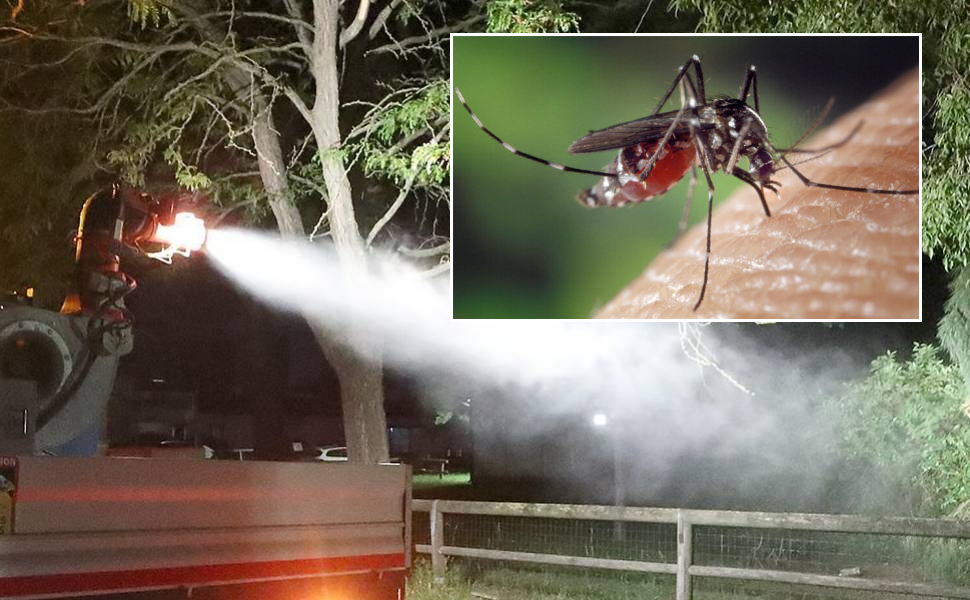 disinfestazione zanzare notturna Rende