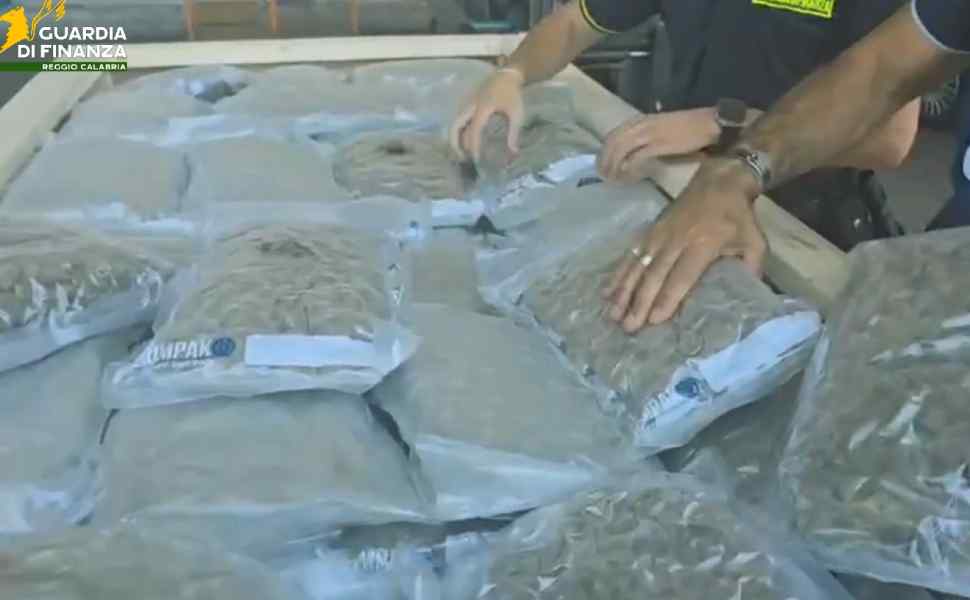 marijuana porto gioia tauro canada legnami 01