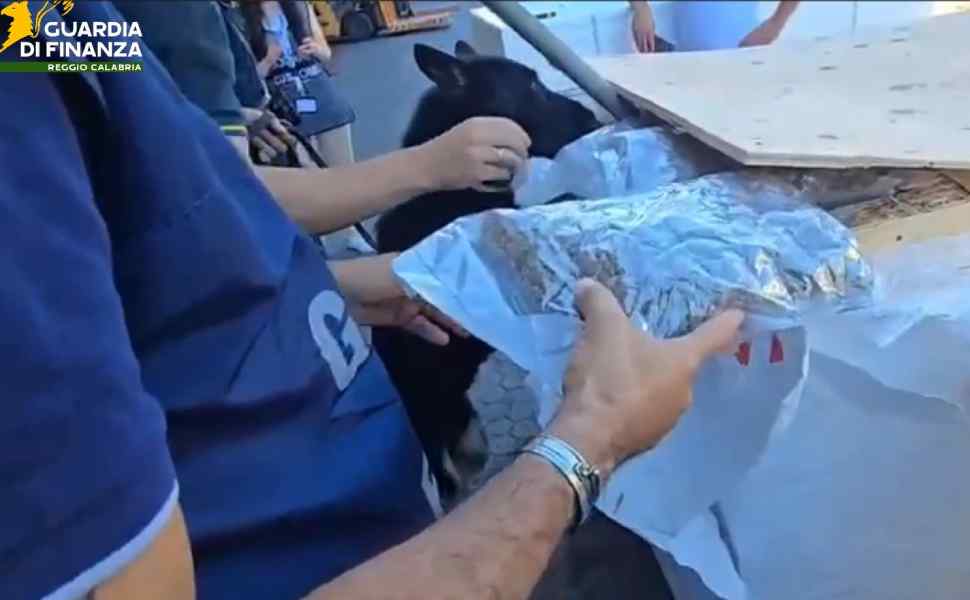 marijuana porto gioia tauro canada legnami 02