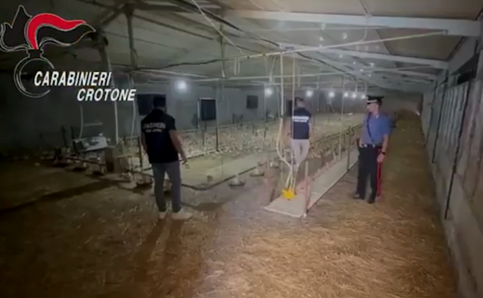 Caporalato blitz Carabinieri Crotone