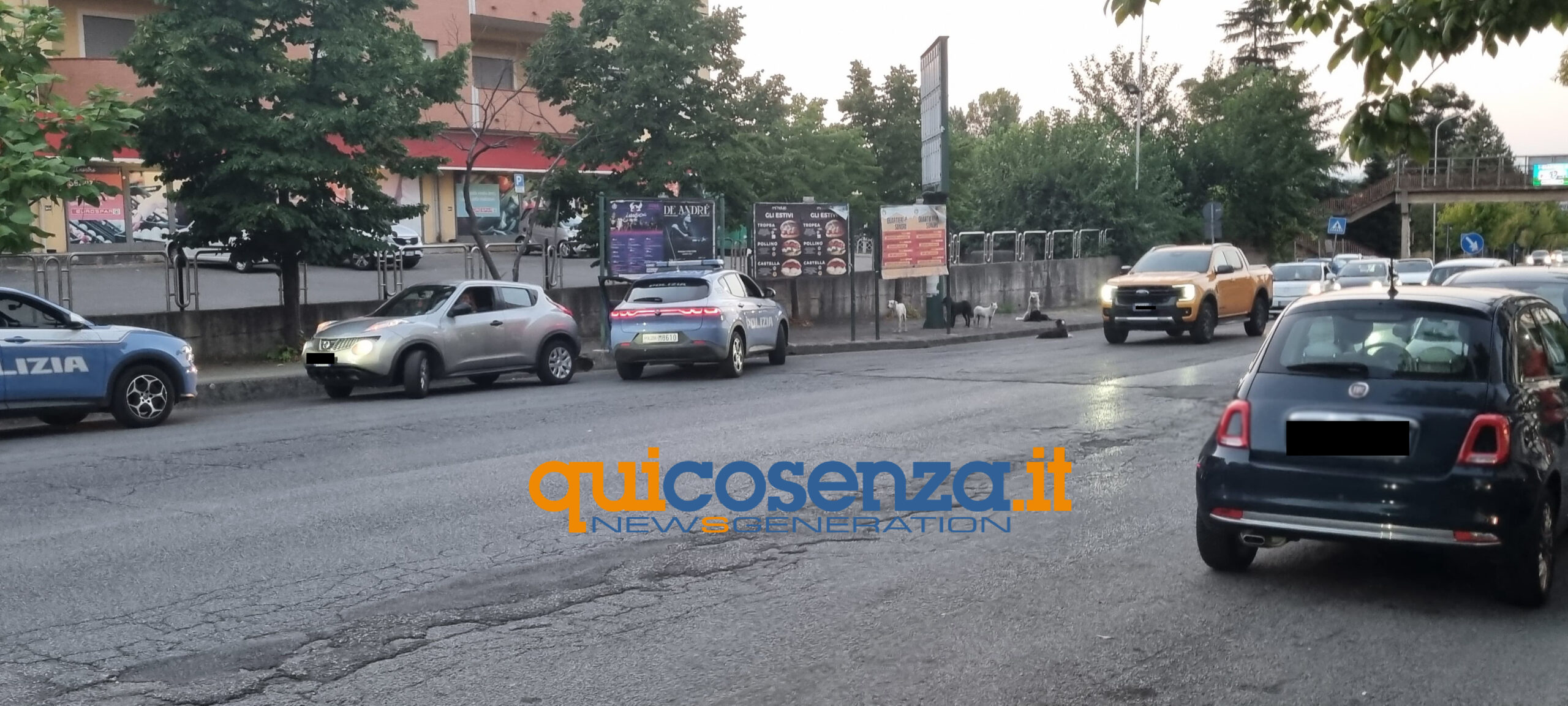 branco-randagi-cosenza-2-