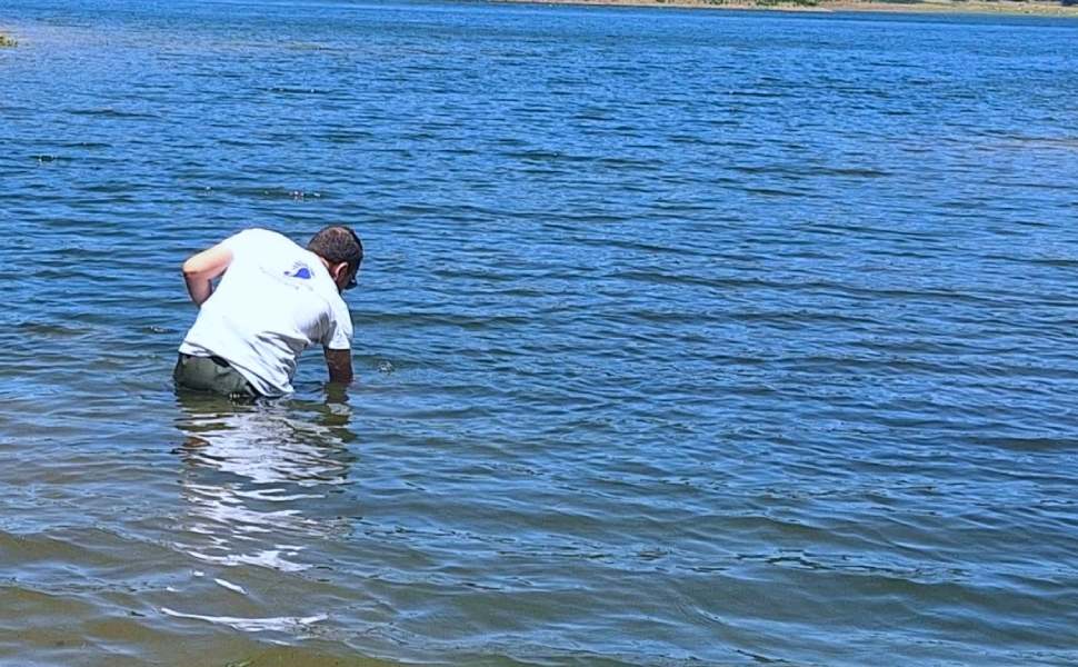 lago ampollino monitoraggio goletta laghi