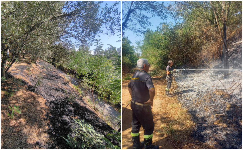 terreni-sindaco-cinquefrontdi.