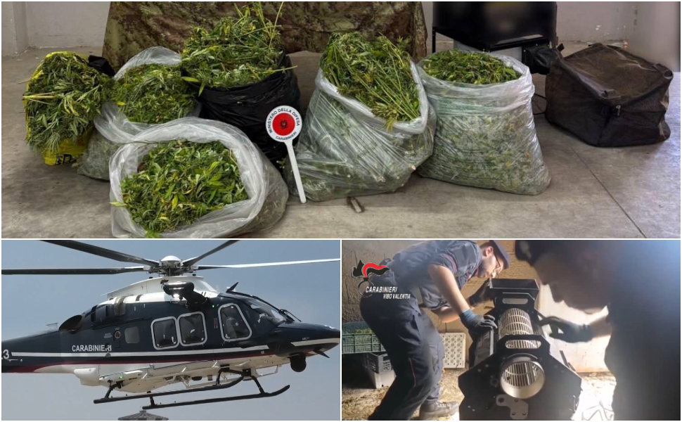 Due arresti e 120 chili di marijuana