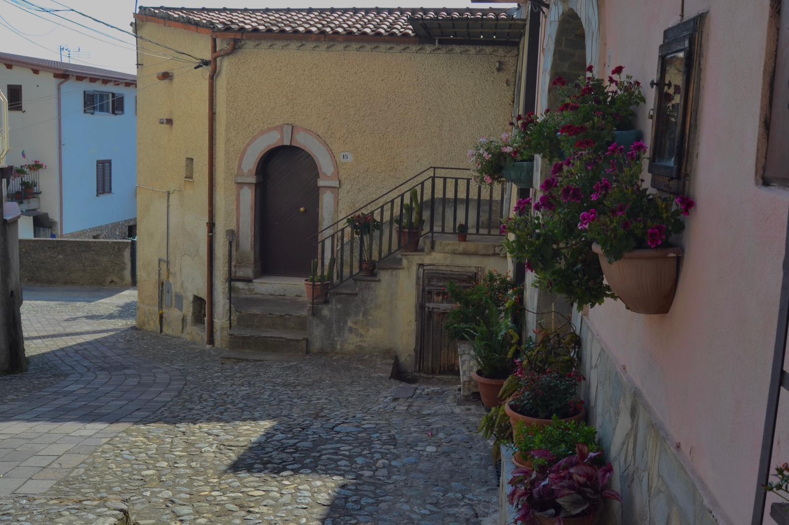 Pietrafitta celebra San Rocco