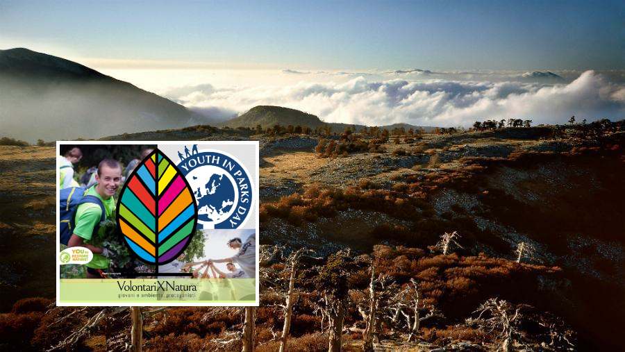 Pollino "VolontariXnatura"