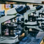 Ricerca contro il cancro
