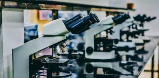 Ricerca contro il cancro
