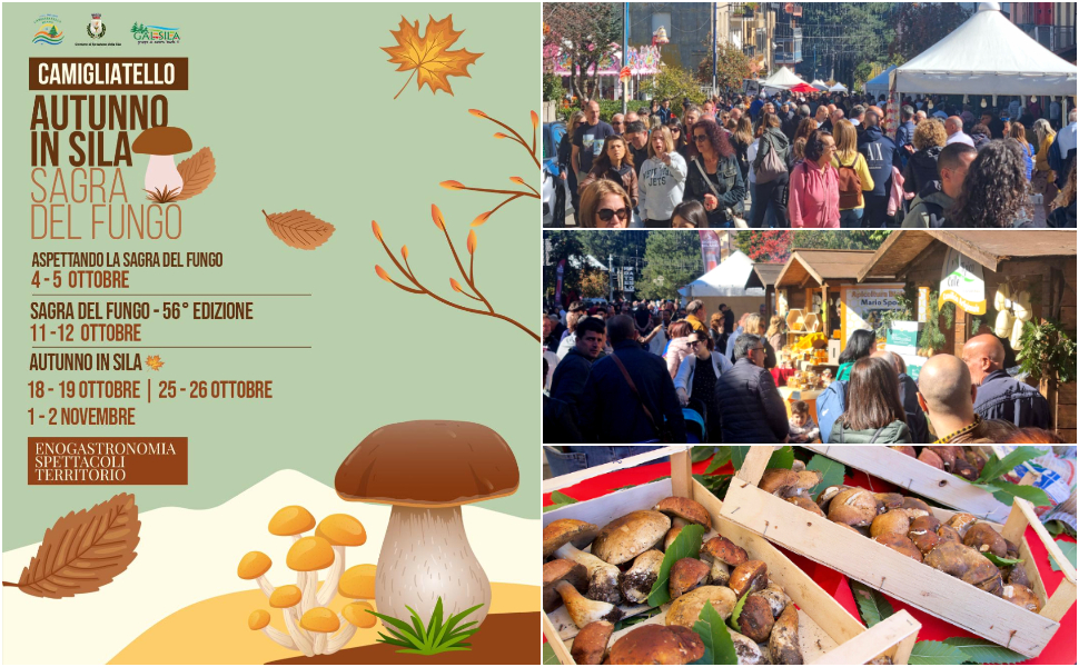 Sagra del Fungo E autunno Silano 2025