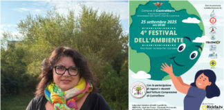 festival ambiente castrolibero