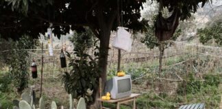 mostra catastrofi