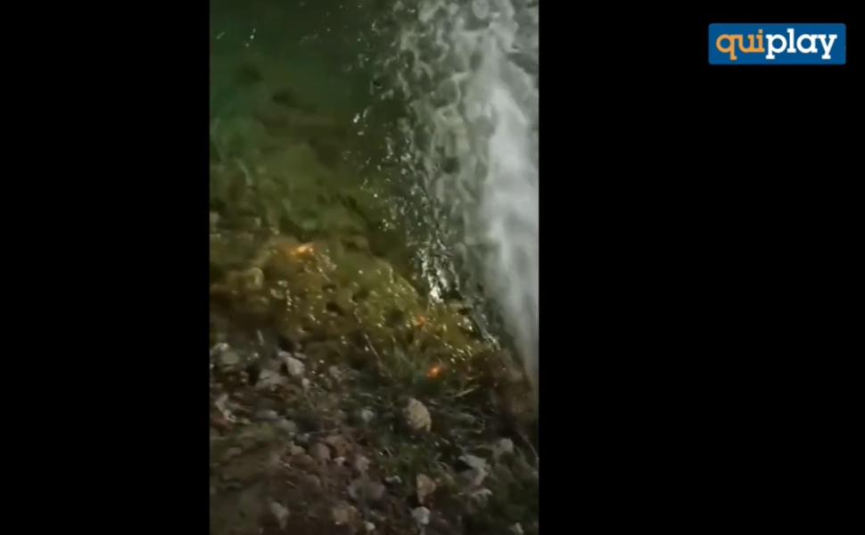 pesci-avvelenati-cosenza.