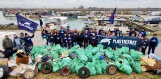plastic free