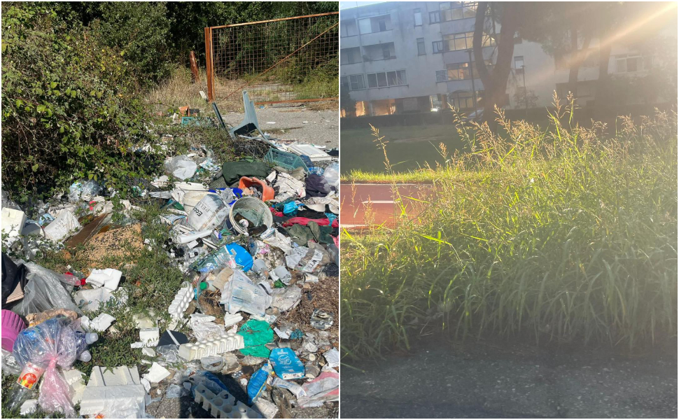 rende rifiuti e incuria - post manna 03