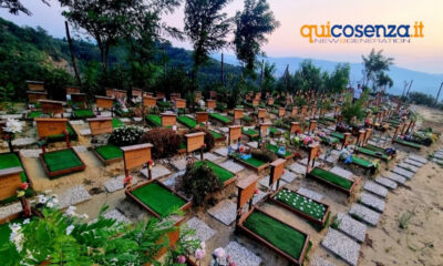 La dolce quiete cimitero animali san pietro in guarano