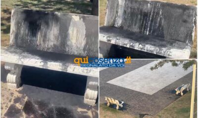 Cosenza panchine piazza Cundari