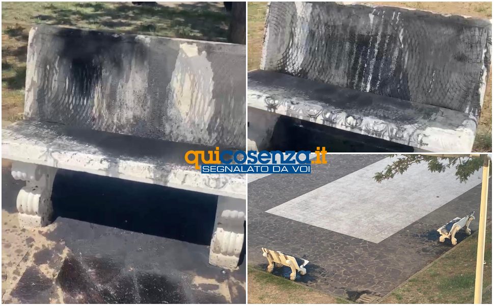 Cosenza panchine piazza Cundari