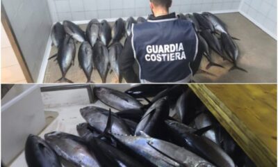 Sequestrati 250 kg di tonno
