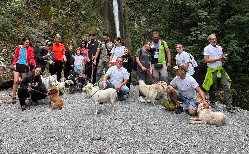 escursione “a 4 zampe” nella Valle del Fiume Argentino 02