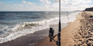surfcasting
