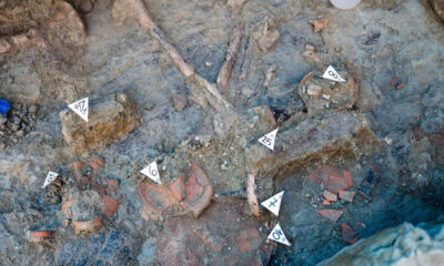 tomba-san-marco-argentano