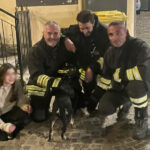 vigili fuoco acri cagnolina 01