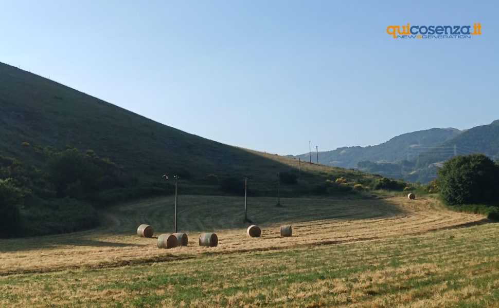 centro migranti Campotenese