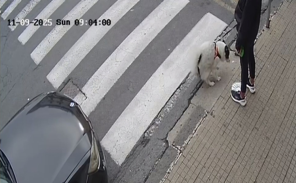 Paola Telecamere deiezioni canine polizia locale 01